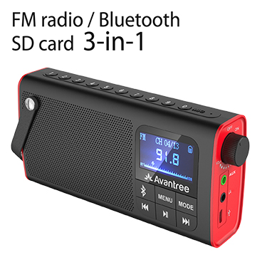 SP850 Wireless Speaker with FM Radio